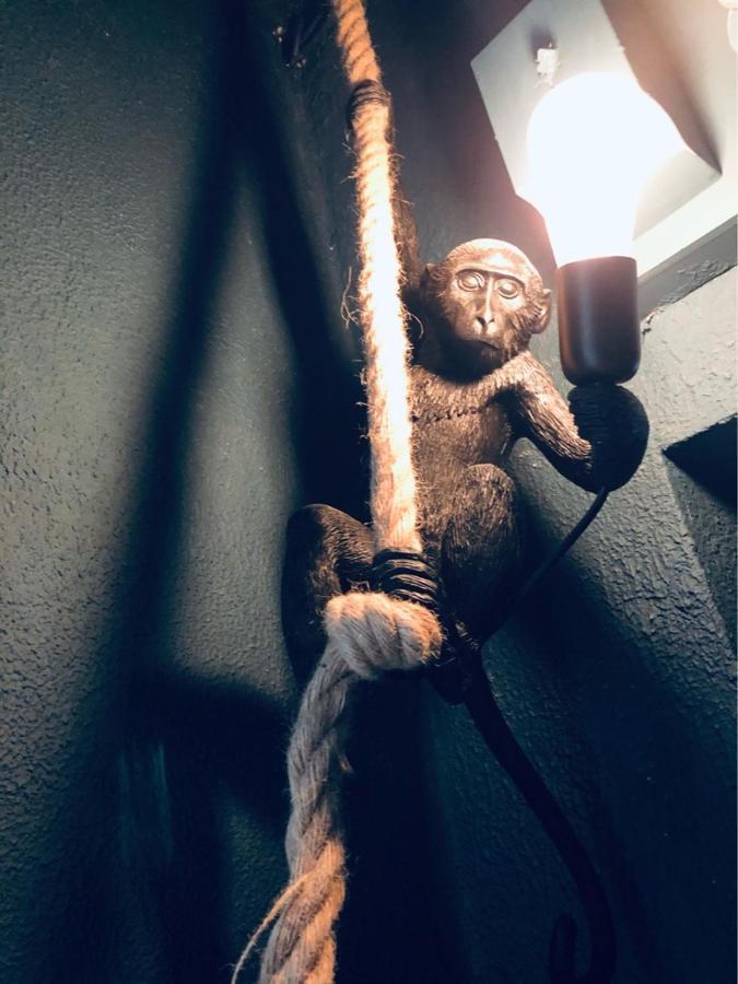 Le jungle charmant appartement avec extérieur Nîmes Extérieur photo